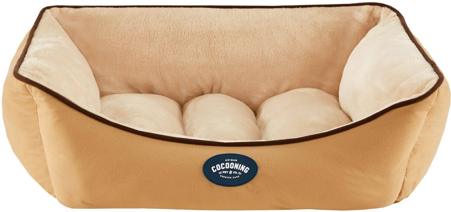 Cama Andy Medium - Beige