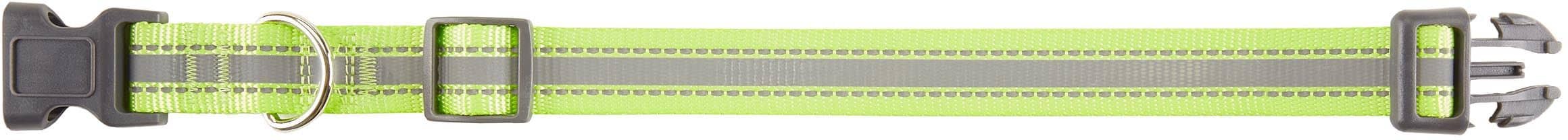 Collar Paul Gris Lima Small