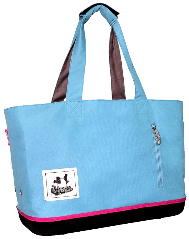 Color Play Pet Carrier Sky Blue