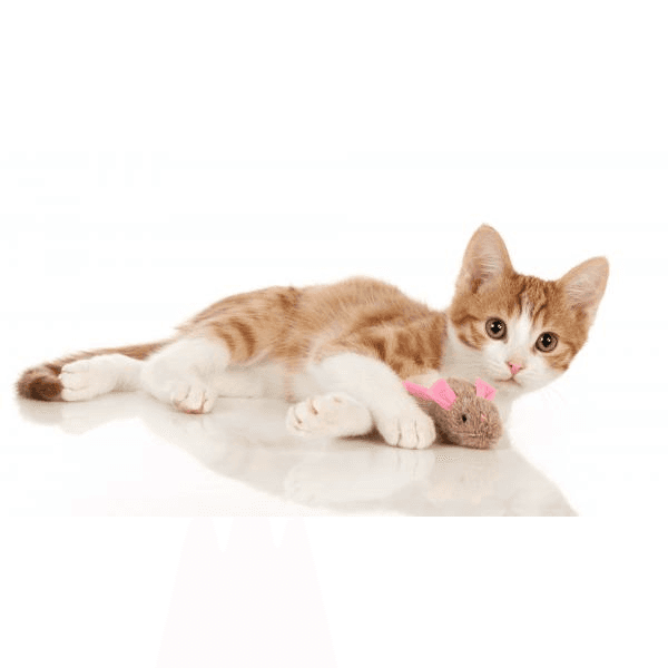 Cat Toy Plush Mouse 5 CM, Grey-Beige, Catnip