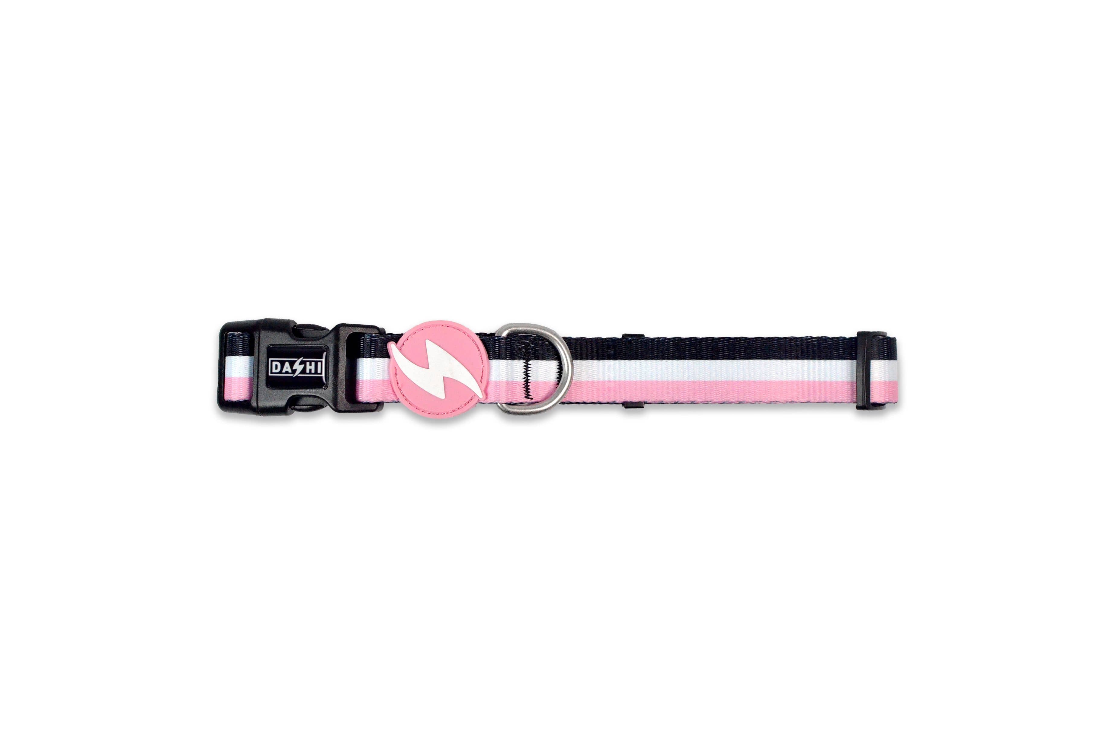 DASHI STREIPES3 PINK & BLACK COLLAR