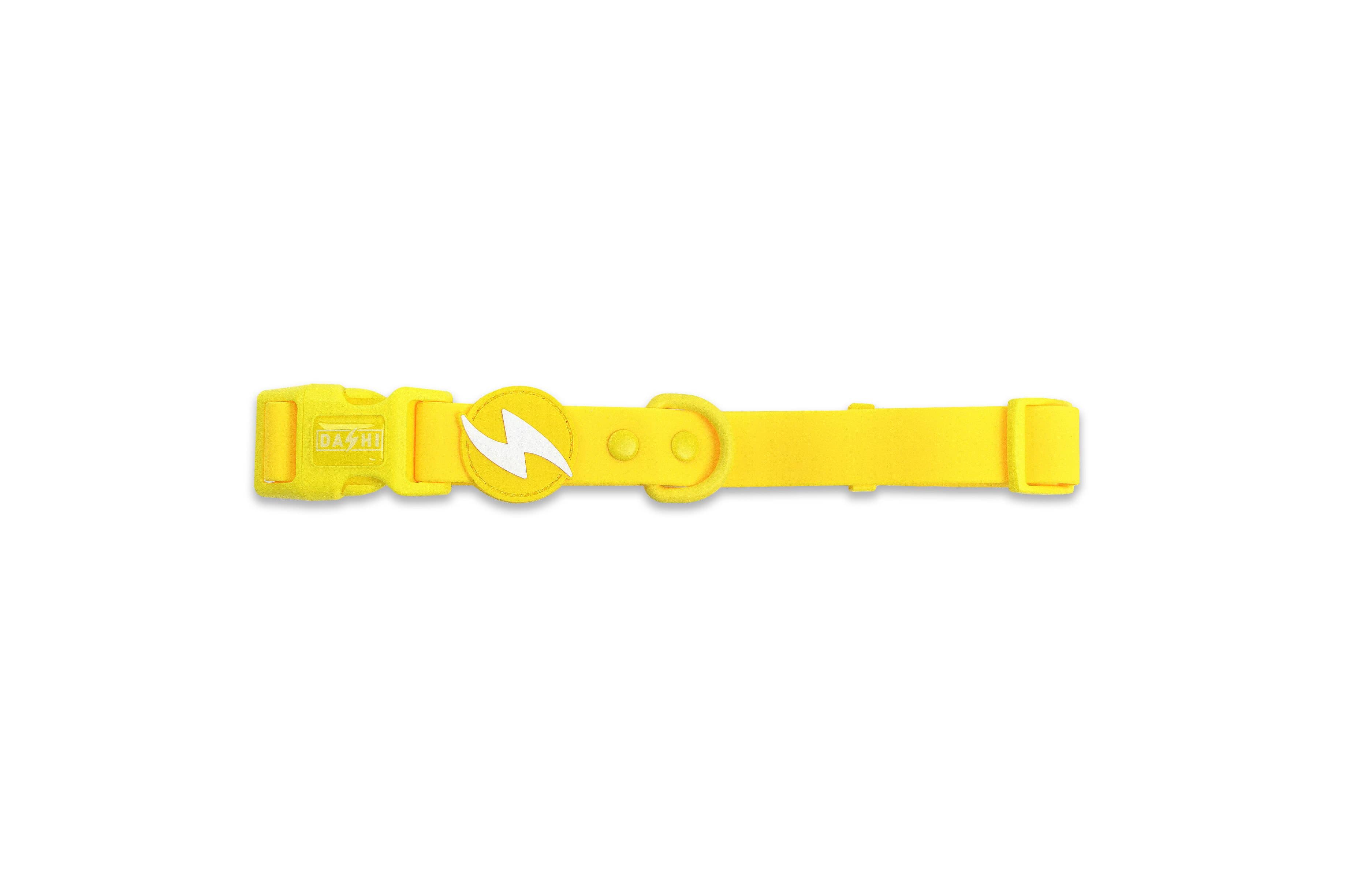 DASHI COLORFLEX YELLOW COLLAR
