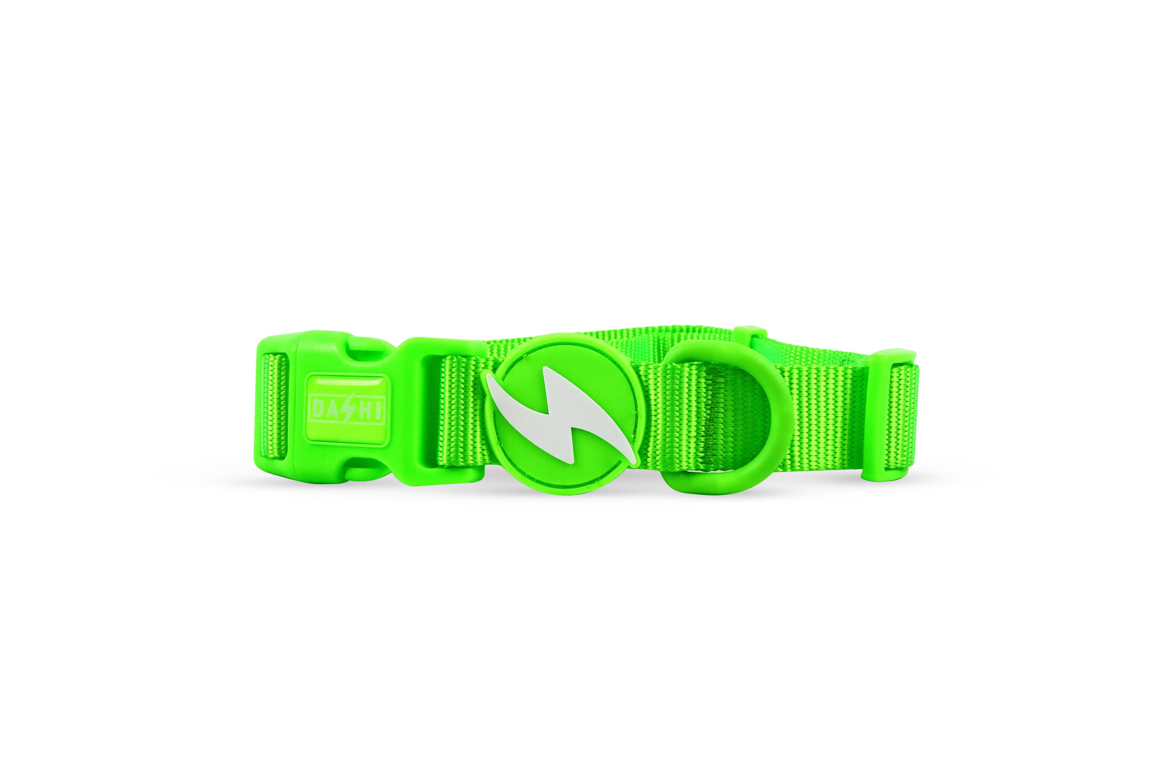 DASHI NEON GREEN COLLAR
