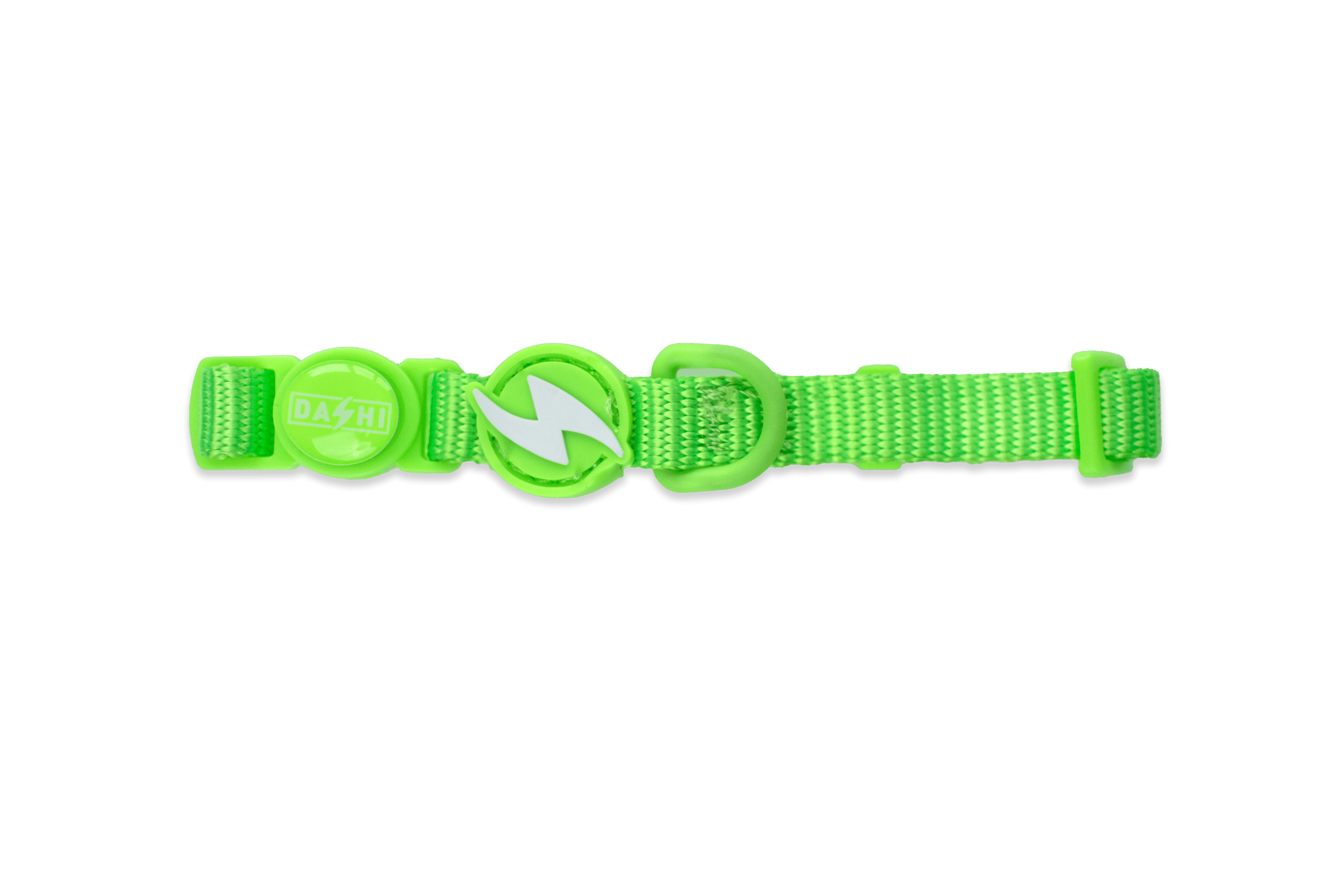 DASHI NEON GREEN COLLAR CAT-0071