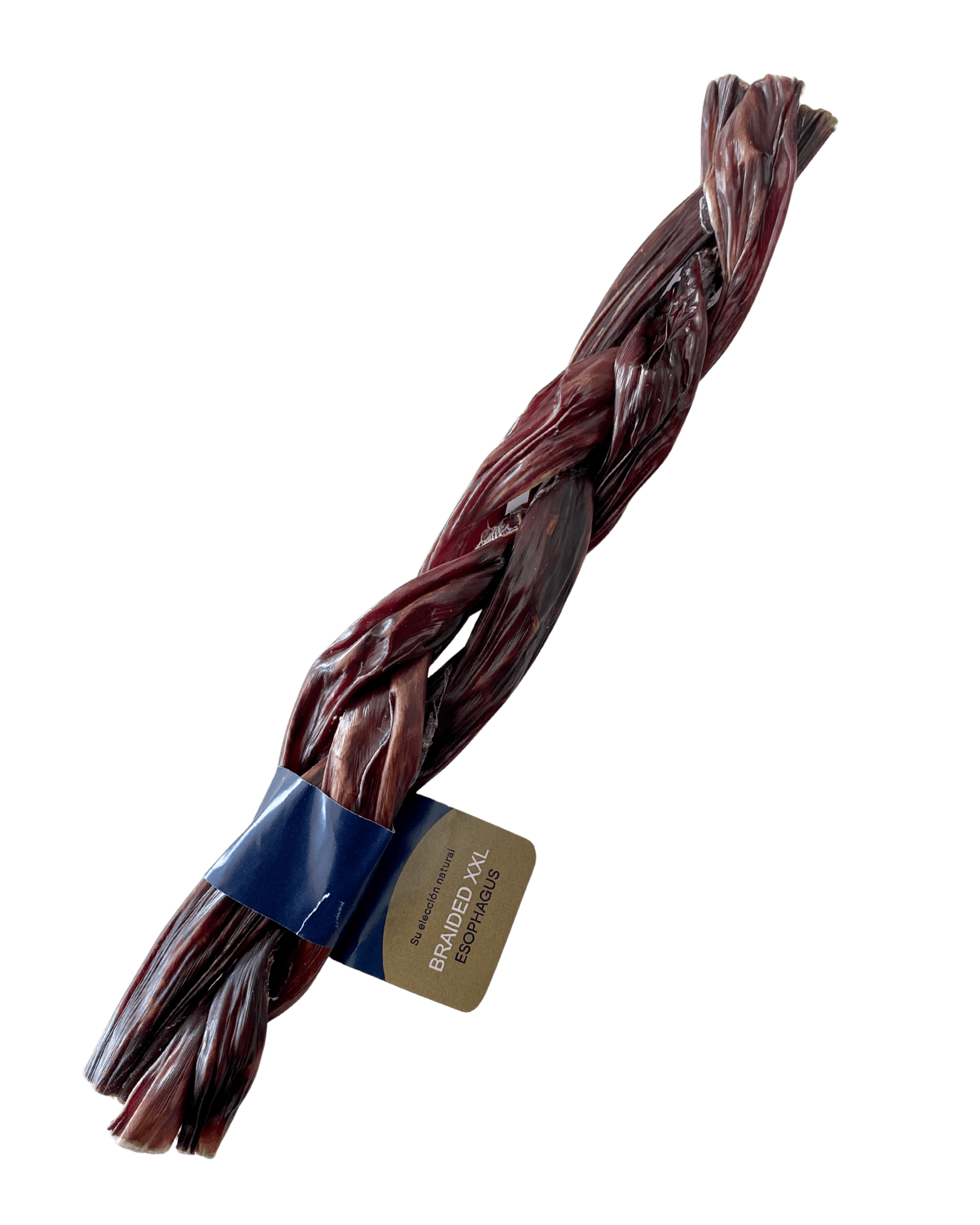 Bruler Esophagus Braided XXL